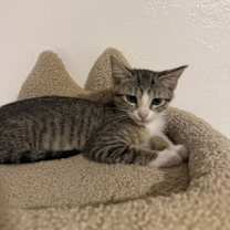 Thumbnail photo of Shirley #1