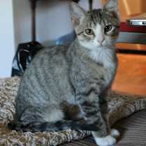 Thumbnail photo of Shirley #4