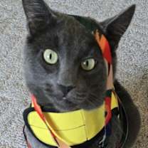 Thumbnail photo of Blue #2