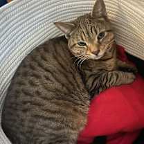 Thumbnail photo of Lena #1