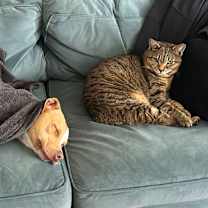 Thumbnail photo of Lena #3