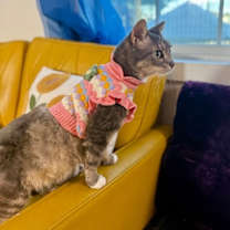 Thumbnail photo of Kemah Texas #4