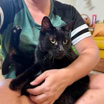 Thumbnail photo of Spidey Delgado #3