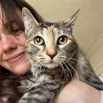 Thumbnail photo of Dulcecita Caramel #3