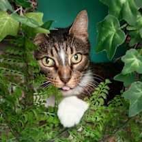 Thumbnail photo of Jasper Gonzalez #1