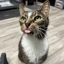 Thumbnail photo of Jasper Gonzalez #2