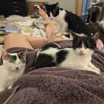 Thumbnail photo of Mocha Mousse #1