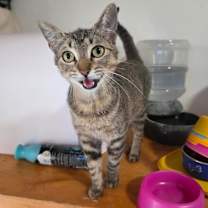 Thumbnail photo of Margarita Montes #1