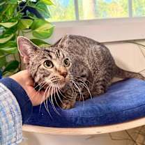 Thumbnail photo of Hector Faith #2