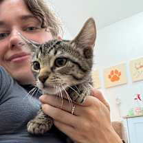 Thumbnail photo of Andromida Dewey #2