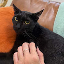 Thumbnail photo of Jack Simpson #1