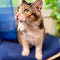 Thumbnail photo of Bri Lee Simpson #1