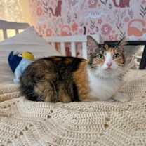 Thumbnail photo of Bri Lee Simpson #2