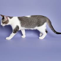 Thumbnail photo of Hans Held #4