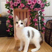 Thumbnail photo of Frida Mex #2