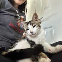 Thumbnail photo of Anya #3