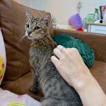 Thumbnail photo of Kat Delgado #2