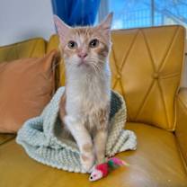 Thumbnail photo of Paco Manuel #1