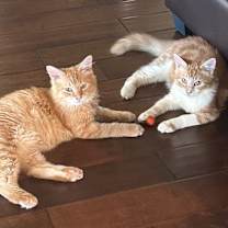 Thumbnail photo of Paco Manuel #2