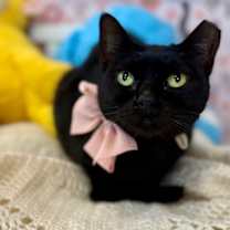 Thumbnail photo of Annabelle Daniel #1