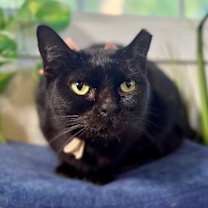 Thumbnail photo of Annabelle Daniel #2