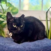 Thumbnail photo of Annabelle Daniel #3