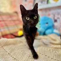 Thumbnail photo of Alexa Daniel #1