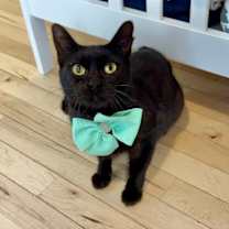 Thumbnail photo of Alexa Daniel #4