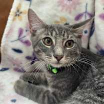 Thumbnail photo of Collins Clark #1