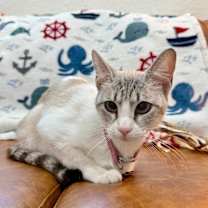 Thumbnail photo of Kitty Cruz #1