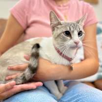 Thumbnail photo of Kitty Cruz #2