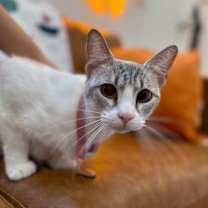 Thumbnail photo of Kitty Cruz #4