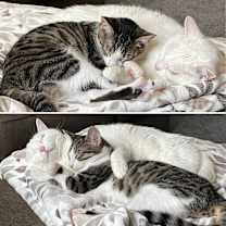 Thumbnail photo of Max #4