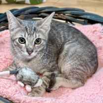 Thumbnail photo of Tristan Treasure #1