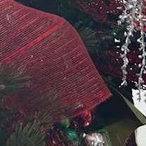 Thumbnail photo of Salem Roe #3