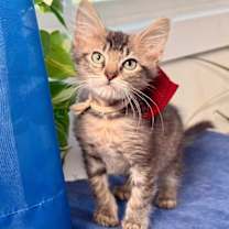 Thumbnail photo of Garth Bay #1