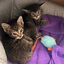 Thumbnail photo of Garth Bay #4