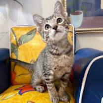 Thumbnail photo of Decker Bay #2