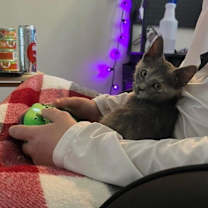 Thumbnail photo of Bambi Brown #2