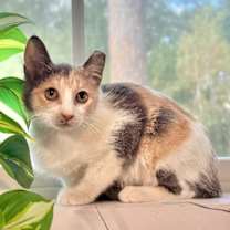 Thumbnail photo of Mia Lopez #1