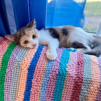 Thumbnail photo of Mia Lopez #3