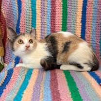 Thumbnail photo of Mia Lopez #4