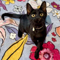 Thumbnail photo of Larry Lopez #1