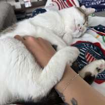 Thumbnail photo of Yoshi #4