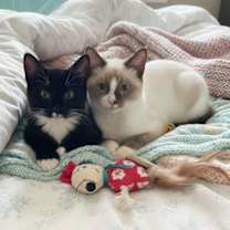 Thumbnail photo of Cookie & Cocoa #1