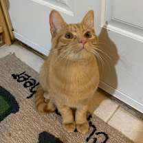 Thumbnail photo of Hunter #2