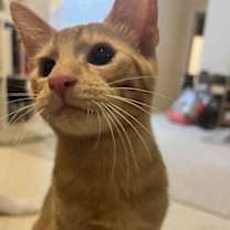 Thumbnail photo of Hunter #3