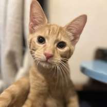 Thumbnail photo of Hunter #4