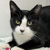 Thumbnail photo of Mavis #2