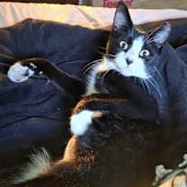 Thumbnail photo of Mavis #3